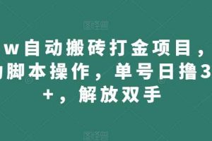 wow自动搬砖打金项目，全自动脚本操作，单号日撸300+，解放双手【揭秘】