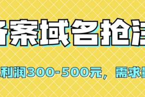 【全网首发】备案域名抢注，一单利润300-500元，需求量大