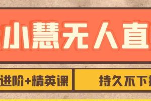 张小慧无人直播精英课，基础+进阶+精英课，持久不下播