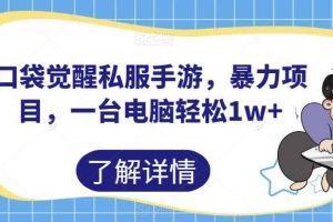 口袋觉醒私服手游，暴力项目，一台电脑轻松1w+【揭秘】