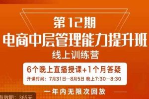 陈少珊·电商中层管理能力提升班，学习对象-电商公司各个岗位的主管，20人人以内的电商公司老板