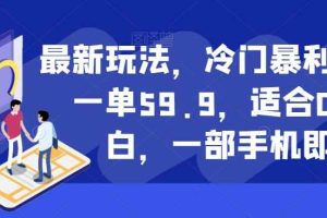 最新玩法，冷门暴利项目，一单59.9，适合0基础小白，一部手机即可操作【揭秘】