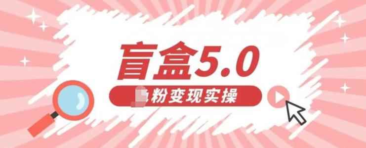 盲盒交友5.0，男粉变现实操项目，亲测变现效果极好【揭秘】