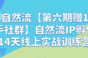 瑶瑶自然流【第六期赠1年孵化手社群】自然流IP孵化手「14天线上实战训练营」