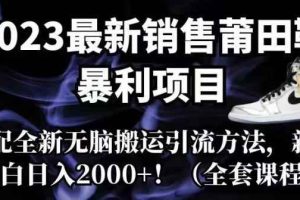 2023最新销售莆田鞋暴利项目，搭配全新无脑搬运引流方法，新手小白日入2000+【揭秘】