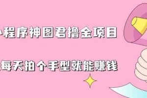 抖音小程序神图君撸金项目，用手机每天拍个手型挂载一下小程序就能赚钱【揭秘】