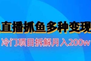 水边直播抓鱼，多种变现途径冷门项目，月入200w拆解【揭秘】