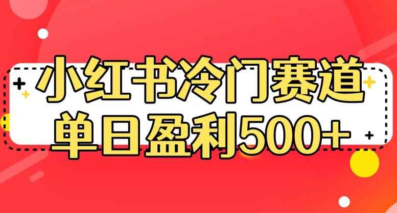 小红书冷门赛道，单日盈利500+【揭秘】