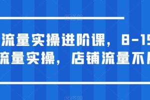 淘宝流量实操进阶课，8-15天放大流量实操，店铺流量不用愁