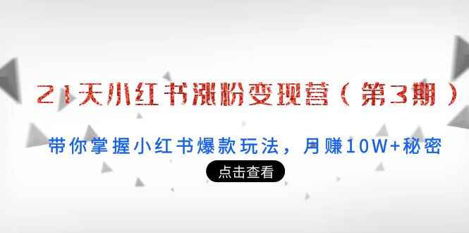 21天小红书涨粉变现营（第3期）：带你掌握小红书爆款玩法，月赚10W+秘密
