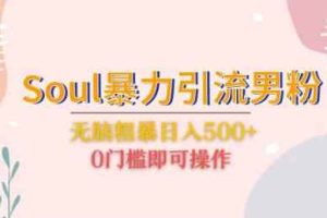 Soul暴力引流男粉玩法，无脑粗暴日入500＋，0门槛即可操作【揭秘】