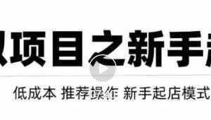 虚拟项目快速起店模式，0成本打造月入几万虚拟店铺！