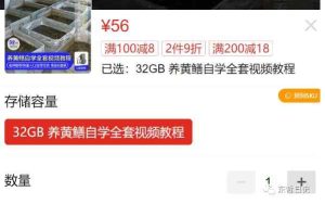 东哲日记：全网首创实物虚拟电商项目，速来捡钱，成本低，一单赚几十块！
