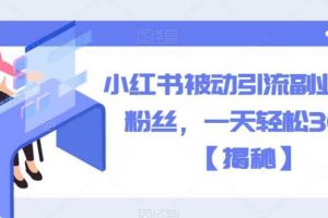 小红书被动引流副业兼职粉丝，一天轻松30粉【揭秘】