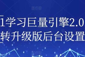 从0-1学习巨量引擎2.0，全面玩转升级版后台设置实操
