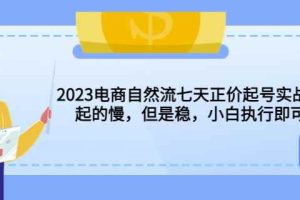 2023电商自然流七天正价起号实战课：起的慢，但是稳，小白执行即可！