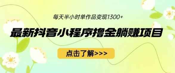 最新抖音小程序撸金躺赚项目，一部手机每天半小时，单个作品变现1300+【揭秘】