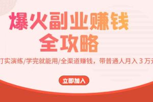 爆火副业赚钱全攻略：实打实演练/学完就能用/全渠道赚钱，带普通人月入３万元