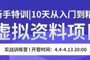 虚拟资料项目新手特训，10天从入门到精通，保姆级实操教学