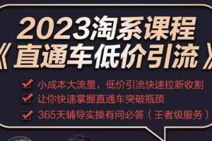 2023直通车低价引流玩法课程，小成本大流量，低价引流快速拉新收割，让你快速掌握直通车突破瓶颈