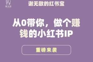 谢无敌·小红书运营大宝典，从0带你做个赚钱的小红书IP