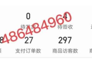 淘k·拼多多虚拟开店打卡群：一群人同行快过一个人单独摸索（昨日群里有小伙伴日入3000+）【更新至0226】