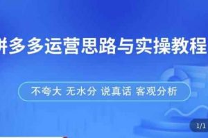 拼多多店铺运营思路与实操教程，快速学会拼多多开店和运营，少踩坑，多盈利