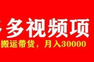 多多带货视频快速50爆款拿带货资格，搬运带货，月入30000【全套脚本+详细玩法】