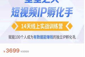 瑶瑶·自然流短视频IP孵化第二期，14天线上实战训练营，赋能100个人成为有数据能赚钱的独立IP孵化手