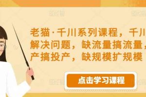 老猫·千川系列课程，千川投放解决问题，缺流量搞流量，缺投产搞投产，缺规模扩规模