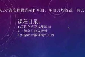 2022小淘实操微课制作项目，项目月均收益一两万