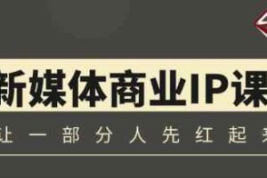 升值计新媒体商业IP3.0，全面揭秘新媒体写作套路及其背后的底层逻辑