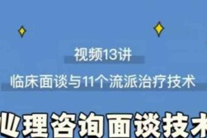 心理咨询面谈技术课理论讲授+案例实录+解释点评视频