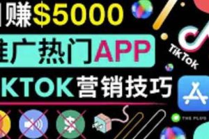无需露脸，无需录音，无需投资，轻松上传短视频，利用TIKTOK赚钱，最高日入5000美元