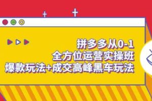 拼多多从0-1全方位运营实操班：爆款玩法+成交高峰黑车玩法