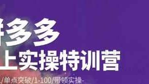 青云:拼多多运营实操特训营：从0到1/单点突破/1-100/带领实操价值2980元