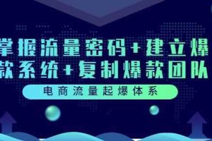 电商流量起爆体系：掌握流量密码+建立爆款系统+复制爆款团队（价值599）