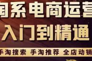 淘系电商入门到精通手淘搜索，手淘推荐，全店动销（价值1099元）