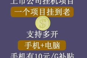 【上市公司】睿思挂机项目，一个项目挂到老，支持手机+电脑+虚拟机多开