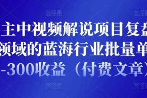 黄岛主中视频解说项目复盘：细分领域的蓝海行业批量单天200-300收益（付费文章）