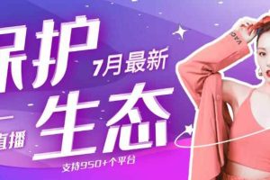 最新版保护生态一对一聊天全自动挂机单窗一天20+支持950+平台[教程]