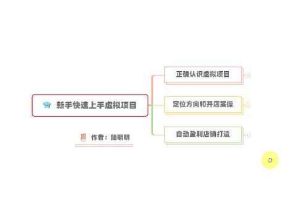 新手如何操作虚拟项目？从0打造月入上万店铺技术【视频课程】