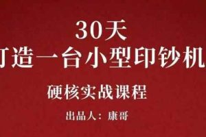 康哥30天打造一台小型印钞机：躺赚30万的项目完整复盘（视频教程）