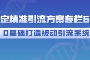 制定精准引流方案专栏6.0，0基础打造被动引流系统