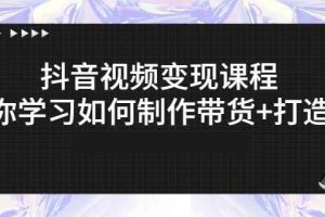 抖音短视频变现课程：带你学习如何制作带货+打造IP【41节】