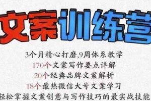 龙小天《文案训练营》全面系统解决文案写作难题！