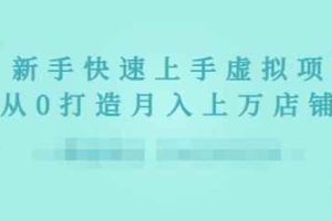 2022年虚拟项目实战指南，新手从0打造月入上万店铺【视频课程】
