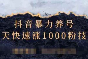 抖音暴力养号，三天快速涨1000粉技术【视频课程】