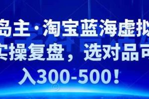 黄岛主·淘宝蓝海虚拟选品实操复盘，选对品可日入300-500！
