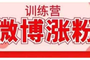 写书哥·微博涨粉训练营，手把手教你写出高转化点赞的涨粉文章【无水印】